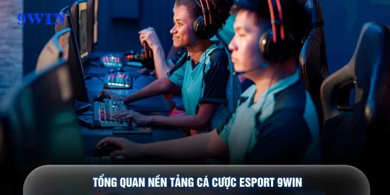 Tổng quan nền tảng cá cược Esport 9WIN